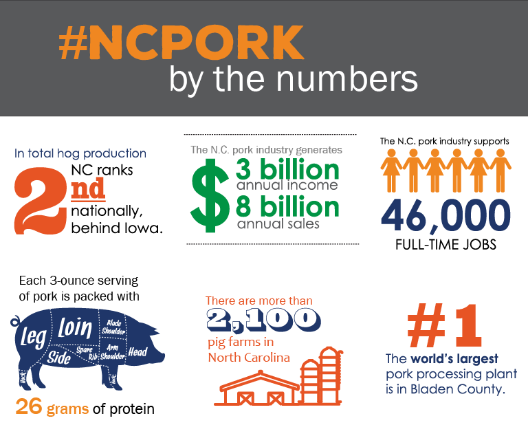 NC Pork By the Numbergs A Pig Infographic